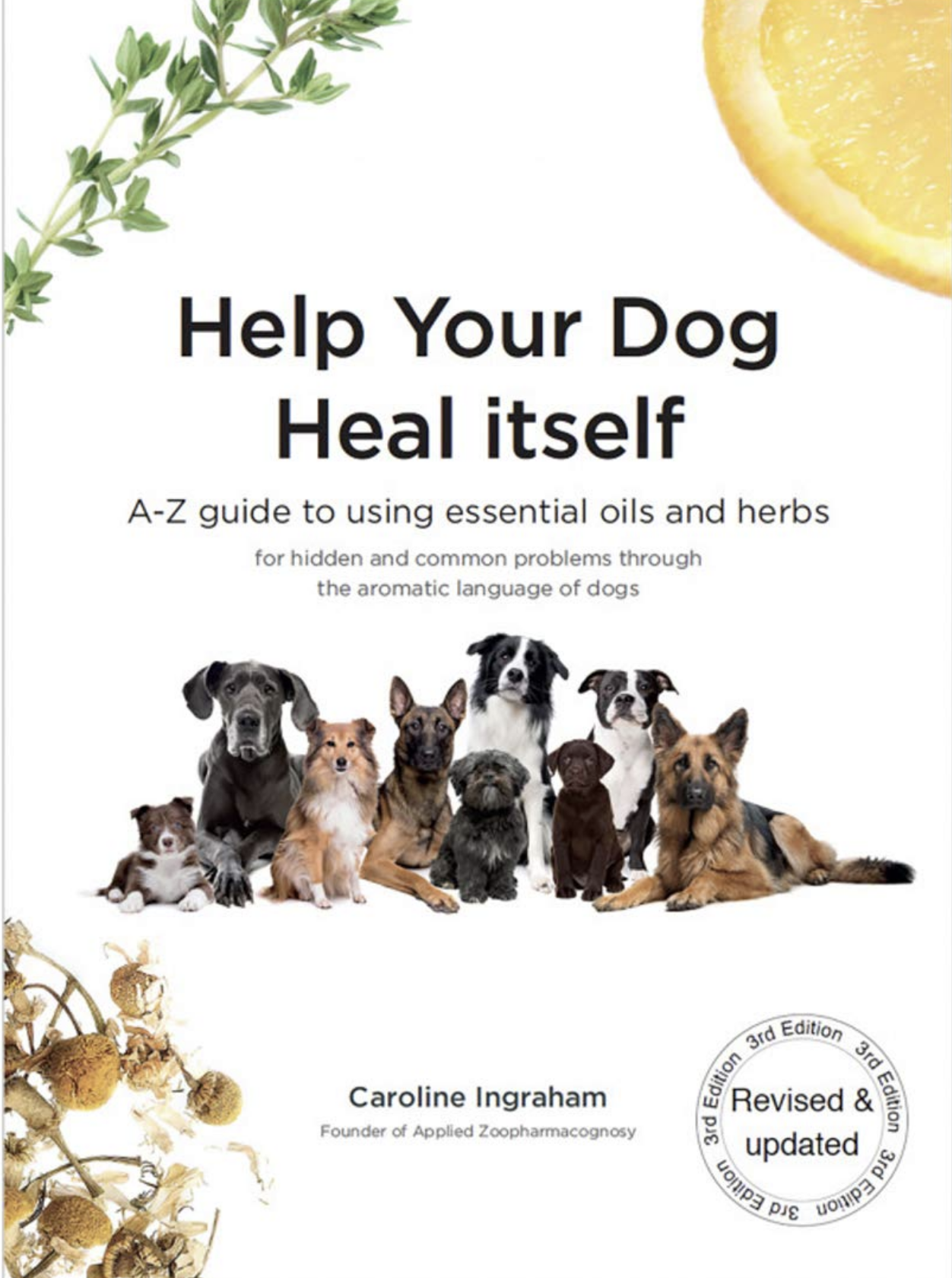 Essential hotsell dog products